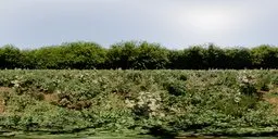16K panoramic HDR showcasing vibrant greenery with bushes, white flowers, and a partly cloudy sky for scene lighting.