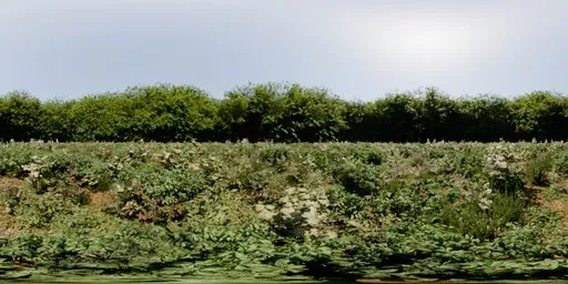 16K panoramic HDR showcasing vibrant greenery with bushes, white flowers, and a partly cloudy sky for scene lighting.
