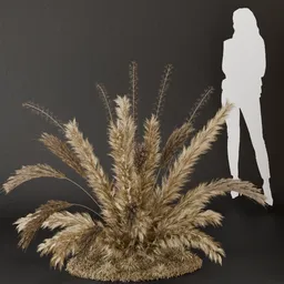 SJ- Pampas Warm Horizon Bush