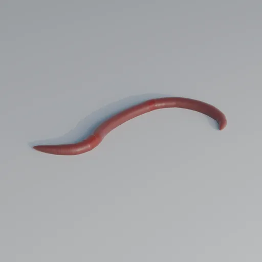 Ground Worm