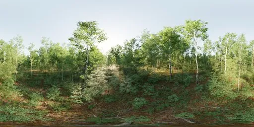 12K unclipped panoramic forest HDR lighting with vibrant green foliage and tranquil atmosphere.