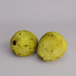 Guava fruit (goiaba)