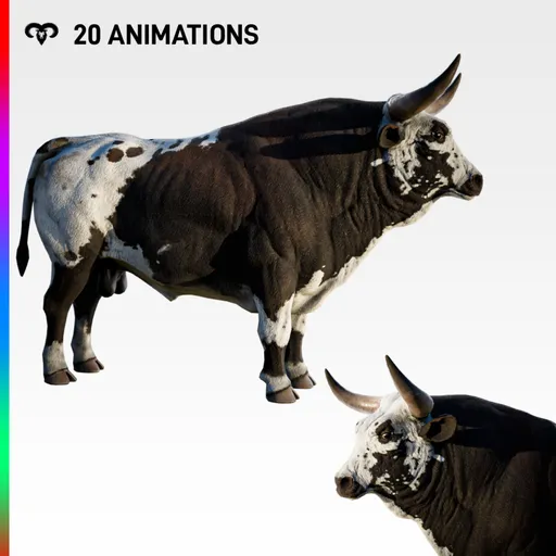 Bull  Animated