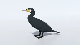 Low Poly Great Cormorant