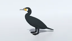 Stylized low-poly cormorant with distinct geometry and separate beady eyes for CG visualization in Blender 3D.