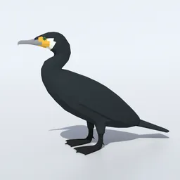 Low Poly Great Cormorant