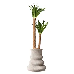 Yucca Elephantipes Gigantea Vase