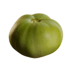 Lycopersicon esculentum