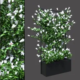 White Bloom Planter