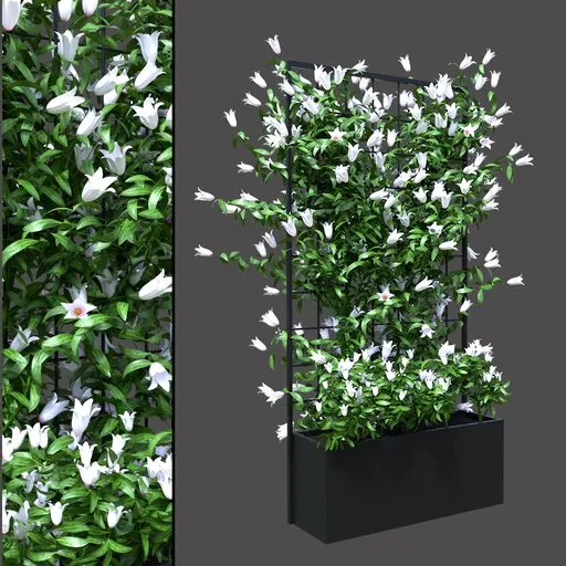 White Bloom Planter