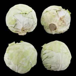 Green Cabbage