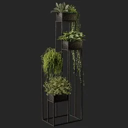 Luxurious plant