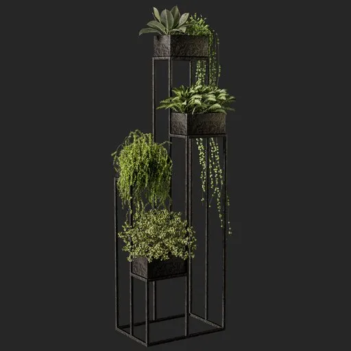 Luxurious plant