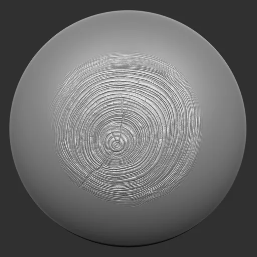 ER_Wood Brush 66