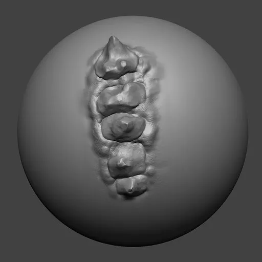 NS Line Scales 03 sculpting brush imprint for reptilian texture creation in 3D modeling on Blender.