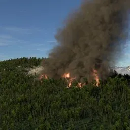 Forest Fire VDB Animation Landscape