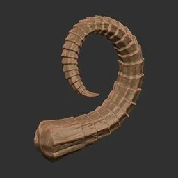 Ring Coil Horn