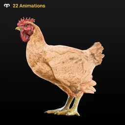 Chicken Animated