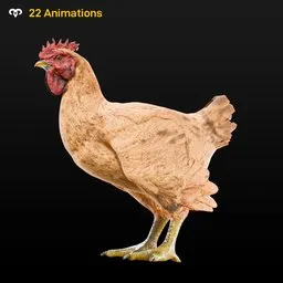 Chicken Animated