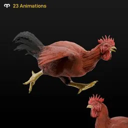 Rooster Animated
