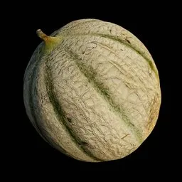 Highly detailed 3D scanned melon texture suitable for Blender rendering and visualizations.