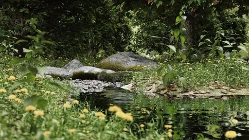 Greenery