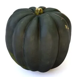Realistic 3D model of a dark green acorn squash, perfectly suited for Blender rendering and autumn visuals.
