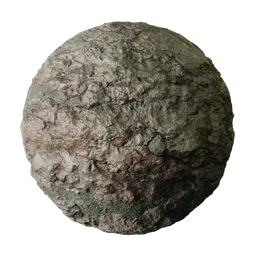 Damp Brown Coastal Rock