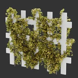 Divider Fence Climber Plant