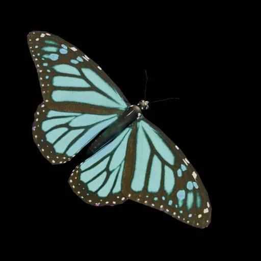 Real Butterfly