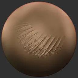 ER_Fin Brush-Anal Fin – Left