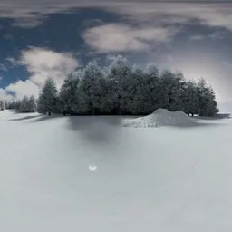 Frozen forest clearing winter