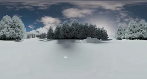 Frozen forest clearing winter