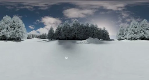Frozen forest clearing winter