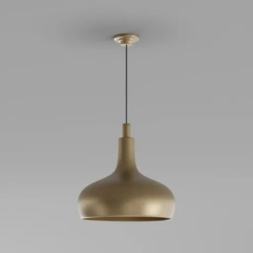 Round Ceiling Light