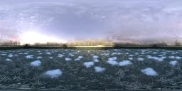 360-degree winter garden HDR panorama with snow patches and purple flowers for scene lighting.