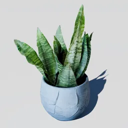 Indoor plant