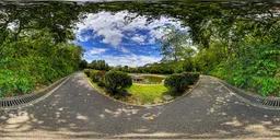 Cloudy tree-shaded path