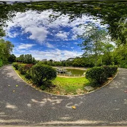 Cloudy tree-shaded path