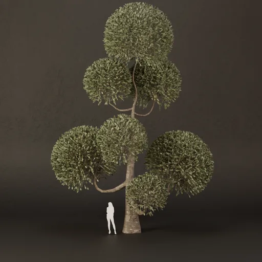 SJ-Ornamental Tree Layer Rhythm