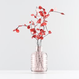Decoration vase with plant