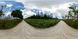 Daytime cloudy trail