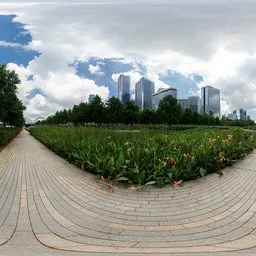 Daytime cloudy trail