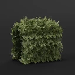 Highly detailed 3D hedge model suitable for Blender, ideal for adding realism to virtual gardens, urban, or castle environments.