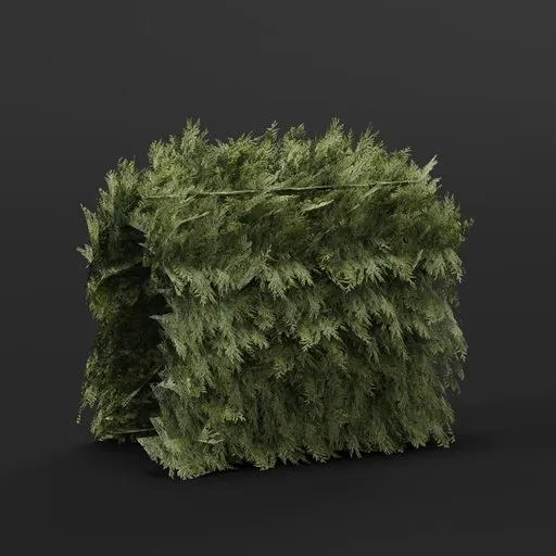 Highly detailed 3D hedge model suitable for Blender, ideal for adding realism to virtual gardens, urban, or castle environments.
