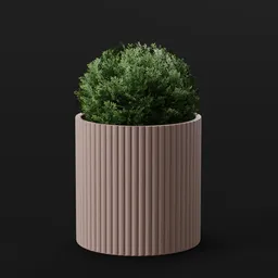 Plant Holly Bush Pot