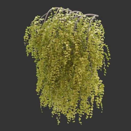 Wall Hanging Autumn Plant