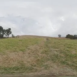 Belfast Open Field