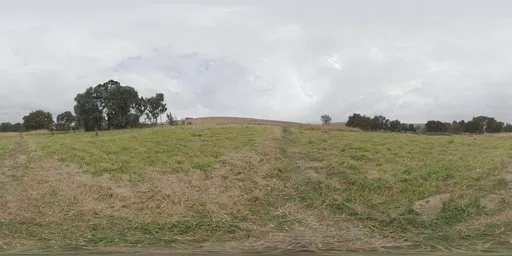 Belfast Open Field