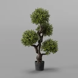 Faux Boxwood Tree in Pot